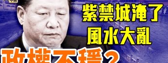 [ID: WGUdyA8PUEE] Youtube Automatic