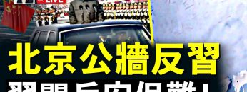 [ID: wIzruYs5W6Q] Youtube Automatic