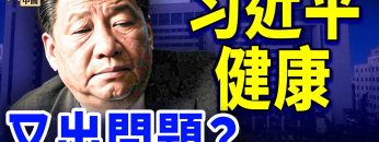 [ID: WX_LKqeAmfo] Youtube Automatic