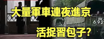 [ID: 2vlmQI5Qz9g] Youtube Automatic