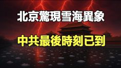 [ID: awpuQSshEbg] Youtube Automatic