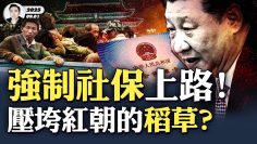 [ID: AzyoV59A8jw] Youtube Automatic