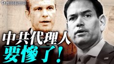 [ID: yiKr4EXTnnQ] Youtube Automatic