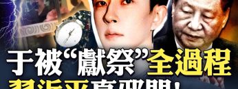 私密：[ID: bonkJ56xd3c] Youtube Automatic