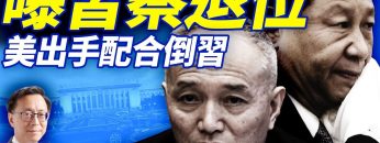 [ID: _FnzHS5fMOw] Youtube Automatic