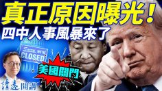 [ID: Jp83g03rVWY] Youtube Automatic