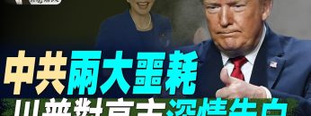 [ID: wUEXj73NjJ4] Youtube Automatic