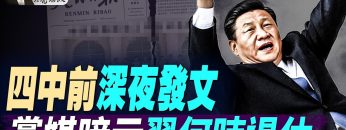 [ID: yfNkq-k-QRk] Youtube Automatic