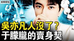 [ID: 6dJ1ZXpi1Yk] Youtube Automatic