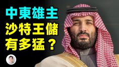 [ID: QtIo7nm0shY] Youtube Automatic