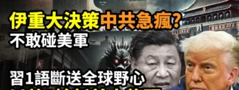 [ID: W4hse8eFKOE] Youtube Automatic